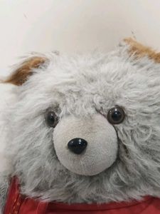 Cute Teddy Bear