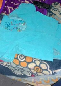Blue Saree With Stiched Blouse
