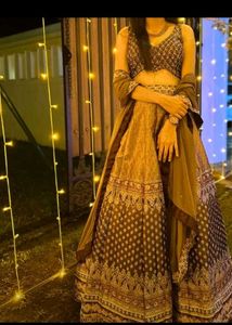 Elegant Brown Lehanga