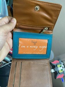 Baggit Brown Wallet