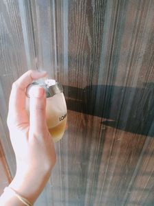 Lomani Perfume