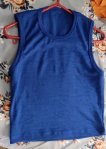 Blue Ribbed Crop Top