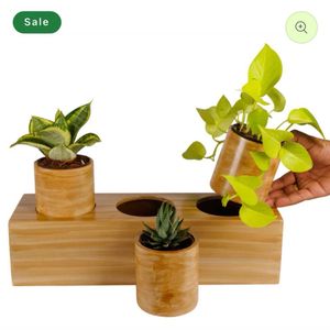Eco Wood Box Planter