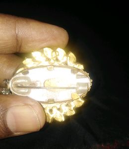 Beautiful Broch use it on any Dress