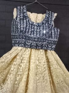 Gorgeous Lehenga Choli