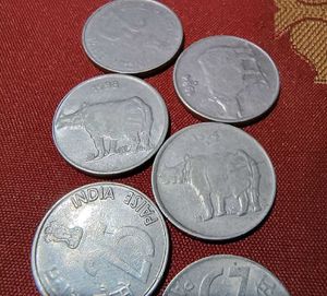 1 Piece Rhino Collectors Coins