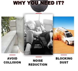 Seal Protector for Cars