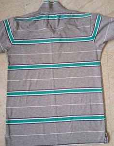 Striped Polo Shirt