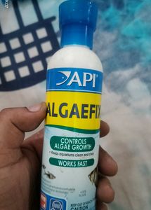 Algae Fix