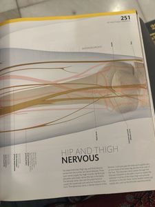 The Complete Human Body