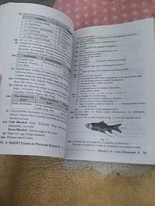 NCERT 9TH CLASS EXEMPLAR