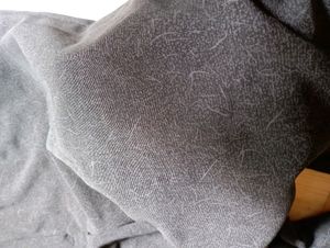Formal Stylish Pants