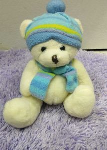 Teddy Bear In Winter Cloth Accessories