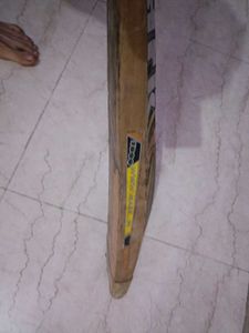 Mark Premium 1000 Cricket Bat