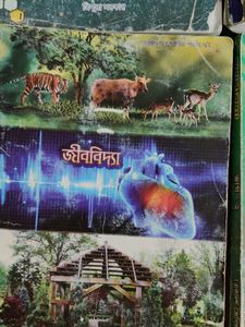 Bengali Medium Version Ncert Book.....