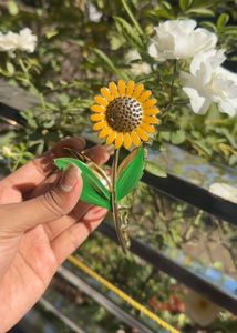 Sunflower Hair Clature
