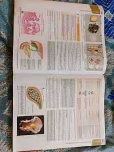 Textbook of Pathology - Harsh Mohan 9th edition