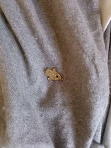 Grey Winter Shrug🖤