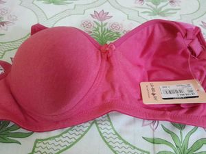 MIL FUSCHIA LA-BRARY Fab-Bee-C Bra - 36C