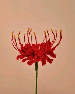 Spider Lily Bouquet