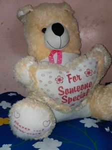 Teddy Bear