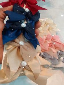 Coloured Hair Clips