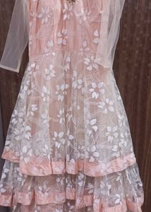 Elegant Ethnic Gown