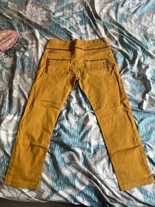 Cotton Pant