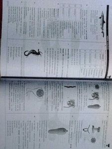 NEET UG Achievers' Playbook