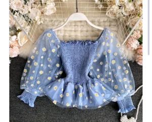 Fancy Sensational Women Top