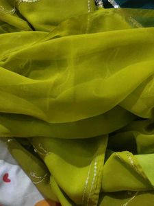 Green Sequence Saree