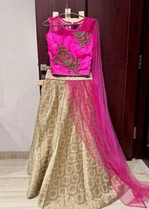 Brand New Designer Lehenga Choli