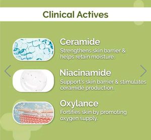 Derma 4% Ceramide Barrier Repair Moisturizer