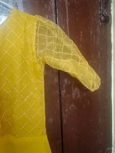 Beautiful Mustard Gown With Netted Layer