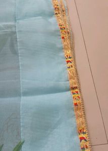 Organza Saree