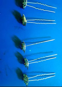 Combo Of Earrings And Hair Pin