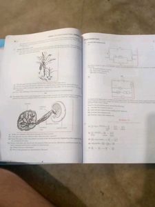 CBSE Class 10 Science Sample Papers