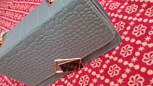 Brand New Sling Bag
