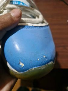 Jordan 11 Low