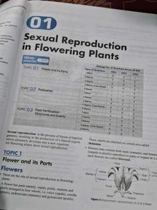 CBSE Biology Class 12
