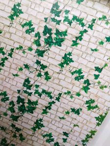 Green Grass 🌴 Wallpaper 3d Design