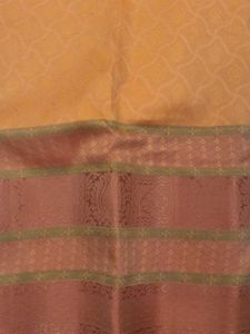 Elegant Orange Saree