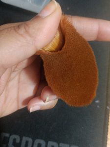 Makeup Brush