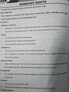 Allen Experimental Physics, Chemistry  Biolog