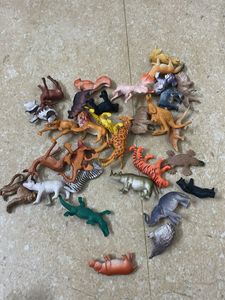 Animal Figure Toy Collection