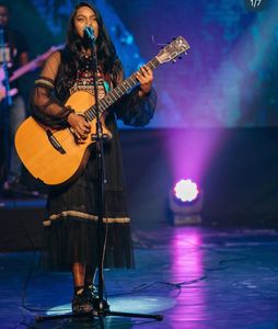 Zara Black Embroidered Mesh Dress