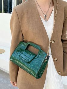 Crocodile Embossed Square Bag Handbag