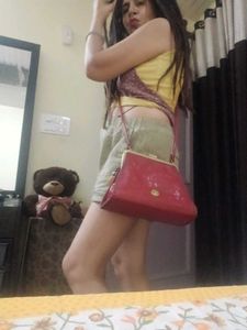 Hidesign Handbag