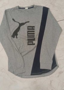 Puma Long Sleeve Tee ( Free Delivery)