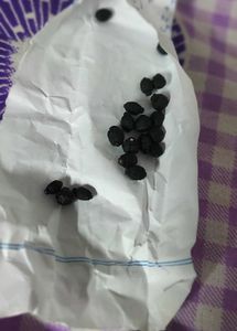 4&#39;o Clock Flower Seeds